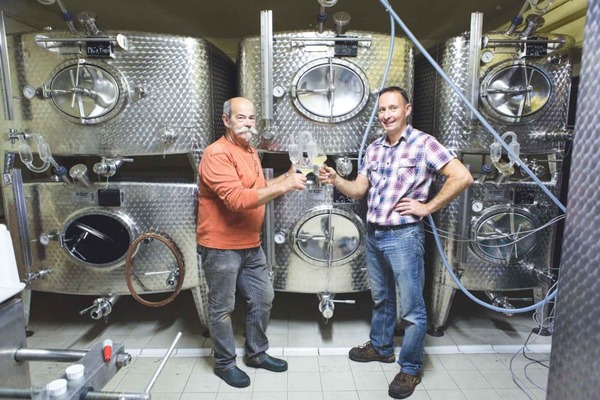 Le Domaine Fritz, Vigneron Indépendant, Cave & Dégustation, Thierry fRITZ