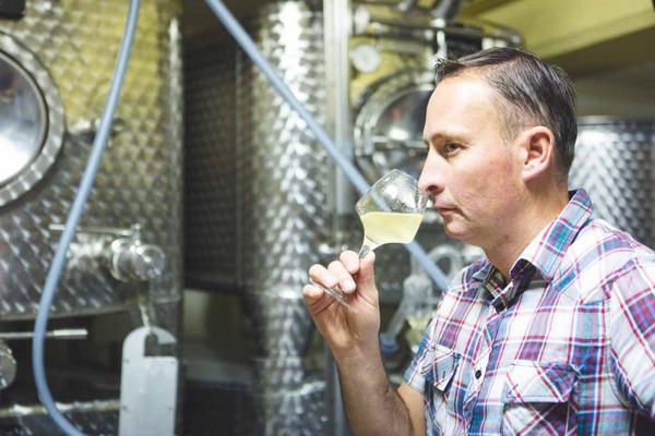 Le Domaine Fritz, Vigneron Indépendant, Cave & Dégustation, Thierry fRITZ