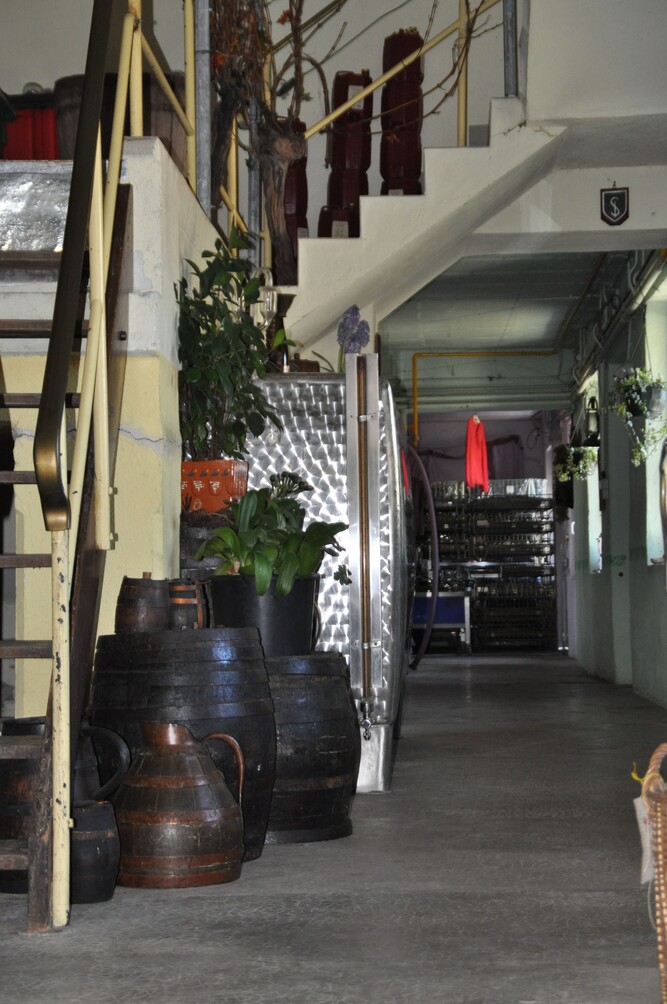 Le Domaine Fritz, Vigneron Indépendant, Cave & Dégustation