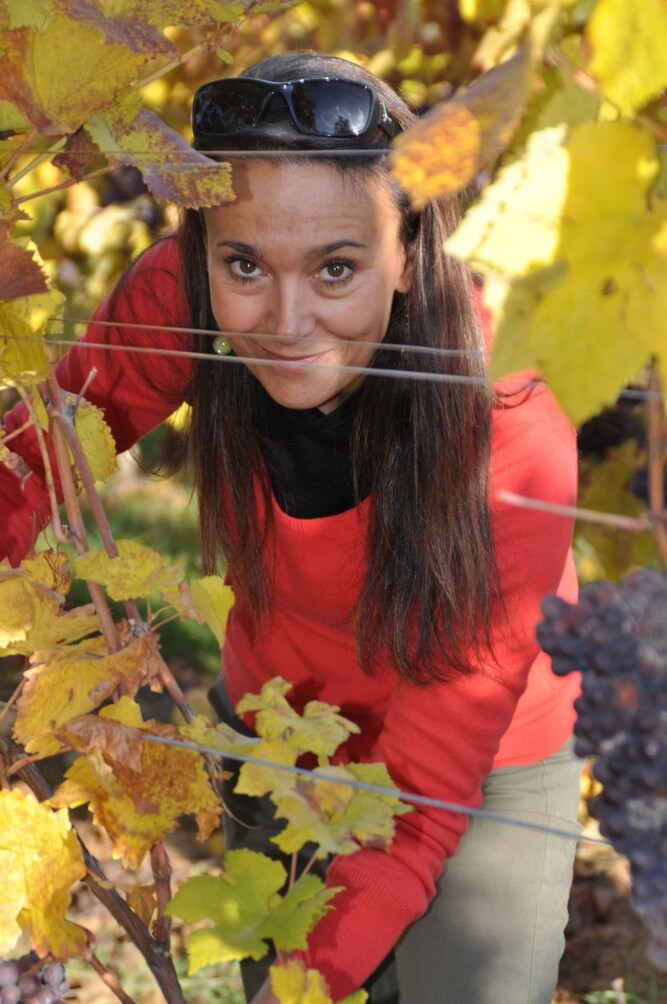 Le Domaine Fritz, Vigneron Indépendant, Cave & Dégustation, Thierry fRITZ