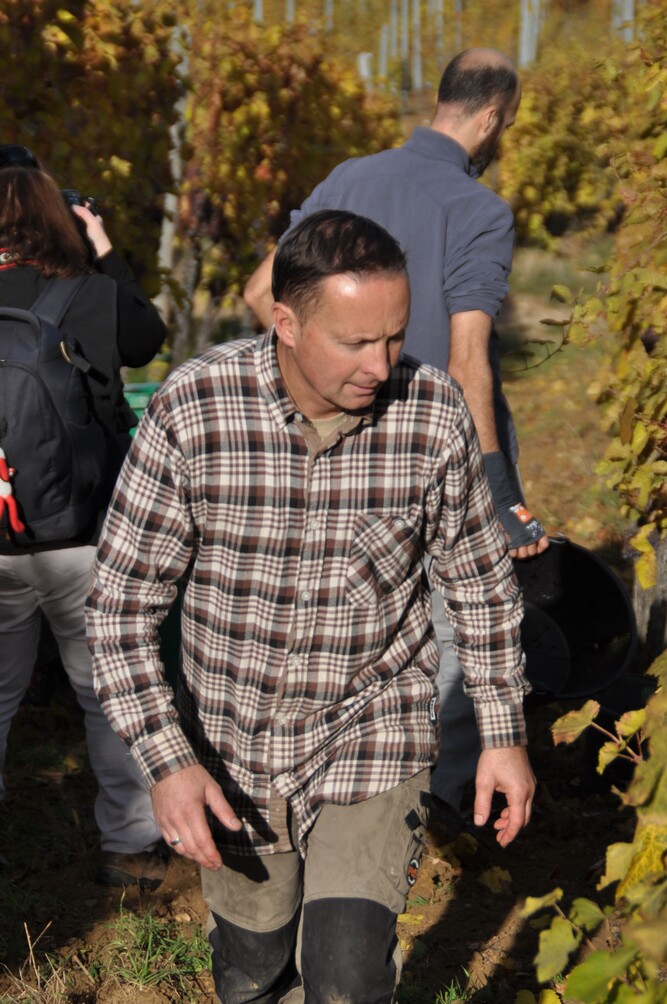 Le Domaine Fritz, Vigneron Indépendant, Cave & Dégustation, Thierry fRITZ